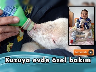 Annesi kuzuyu dışlayınca eve aldılar