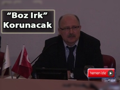 Kocaeli'de Boz Irk'ı korumaya yönelik proje hayata geçti