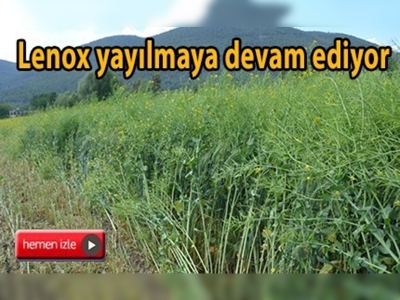 Muğla'da ''Lenox Tarla Günü'' yapıldı