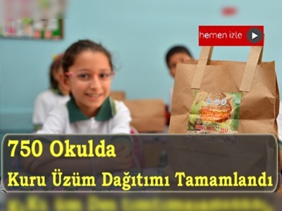 Okullarda kuru üzüm dağıtımına başlandı