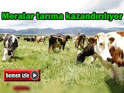 Kahramanmaraş'ta meralar tarıma kazandırılıyor