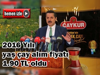 Bakan Çelik yaş çay alım fiyatını açıkladı