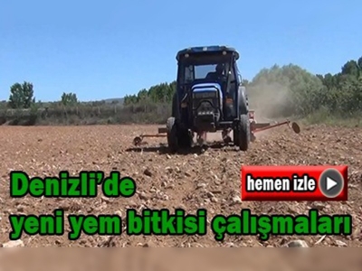 Mısır-Soya karışımı yem bitkisi çeşidi ekimi yapıldı