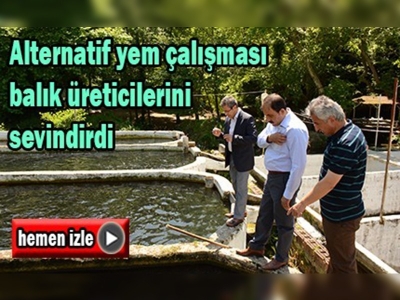 Doğala en yakın balık üretiminde önemli adım