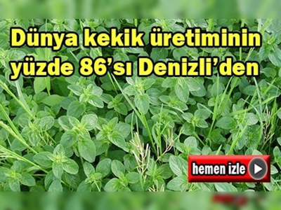 Kekik üretimi yüz güldürüyor