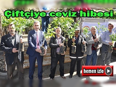 Binlerce ceviz fidanı çiftçilere dağıtıldı