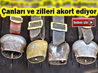 Akort ettiği zil ve çanlar eşsiz melodiler çıkarıyor