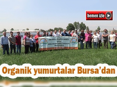 Bursa'dan organik yumurta atağı