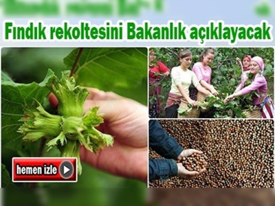 Rekolte tahmini temmuzun ilk haftasında yapılacak