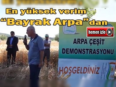 Çanakkale'de ''Yerli Arpa''  hasatı  yapıldı