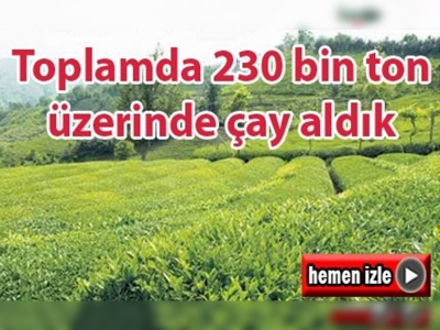 Toplamda 230 bin ton üzerinde çay aldık