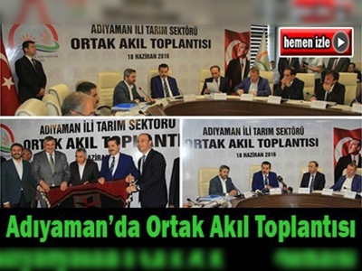 Faruk Çelik, Adıyaman'da Ortak Akıl Toplantısı'na katıldı