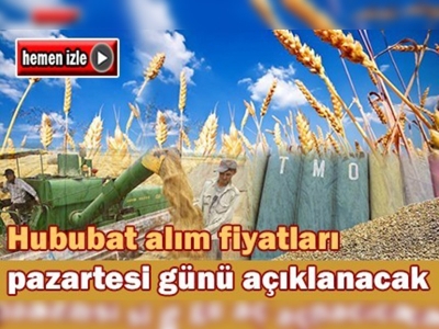 Hububat alım fiyatları