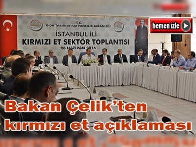 Bakan Çelik İstanbul ili kırmızı et sektör toplantısına katıldı