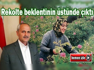 Gül hasatı sona erdi