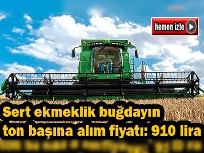 Başbakan hububat alım fiyatını açıkladı