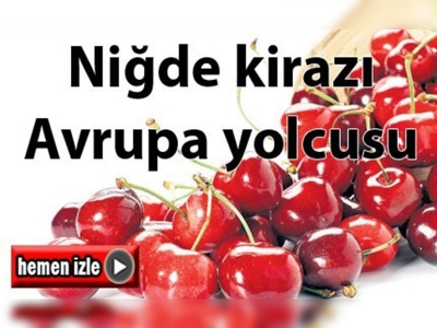 Niğde kirazı Avrupa yolcusu