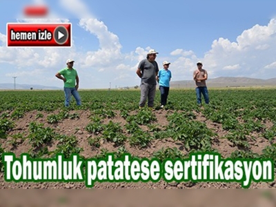 Kayseri'de tohumluk patates sertifikasyon çalışmaları yapıldı