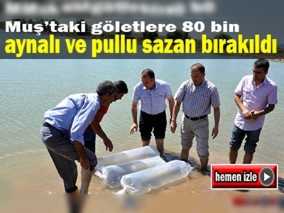 80 bin yavru balık göletlerle buluştu