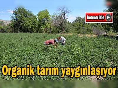 Kayseri'de organik tarım yaygınlaşıyor