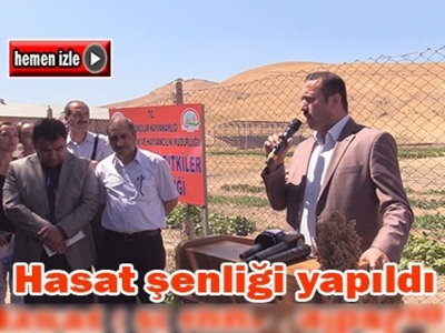 Elazığ'da hasat şenliği