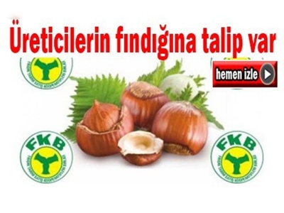 Fındığa talip çıktı