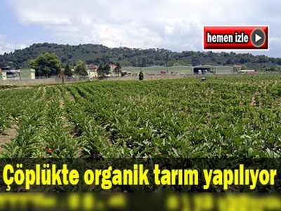 Çöplükten organik tarıma