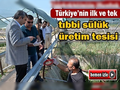 Türkiye'nin ilk ve tek tıbbi sülük üretim tesisi Kayseri'de