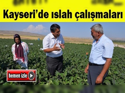 Kayseri'de yerli ürün çeşitleri ıslah çalışmaları