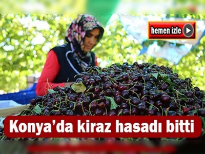 Avrupa ve Ortadoğu Türk kirazına doyacak