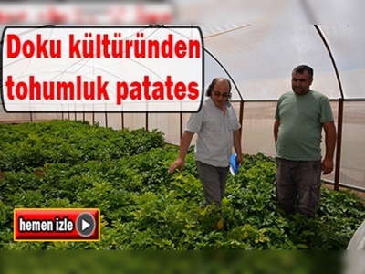 Kayseri'de tohumluk patates yetiştirilen tarlada kontrol