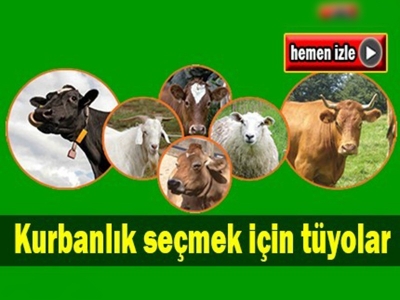 Tüyleri parlak kurbanlıklar tercih edilmeli