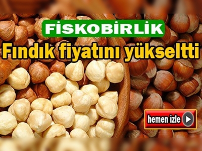 FİSKOBİRLİK fındık fiyatını 14 liraya yükseltti