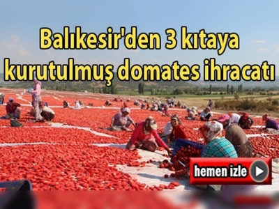 Balıkesir'den 3 kıtaya kurutulmuş domates ihracatı