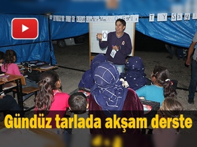 Gündüz tarlada akşam derste