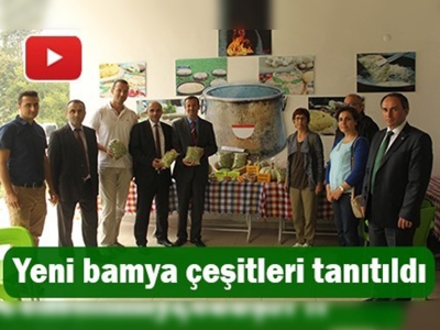 Yeni bamya çeşitleri tanıtıldı