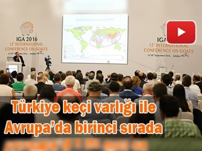 ''12. Uluslararası Keçicilik Konferansı'' Antalya'da başladı