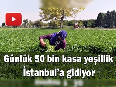 İstanbul'un ''yeşillikleri'' Sakintepe'den