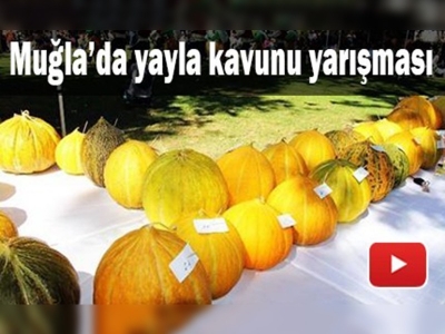 Muğla'nın en güzel kavunları seçildi