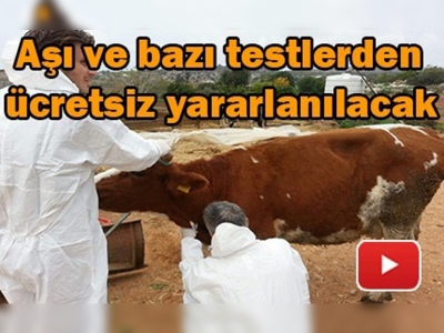 Hayvan hastalıkları ile mücadeleye destek