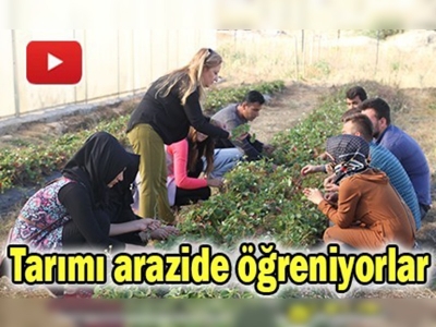 Tarımı uygulamalı olarak arazide öğreniyorlar