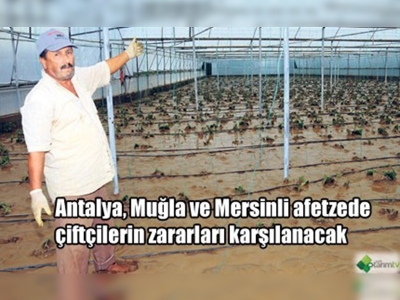 Afetzede üreticilerin zararları karşılanıyor