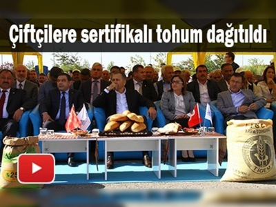 Çiftçilere 2 bin ton sertifikalı tohum dağıtıldı