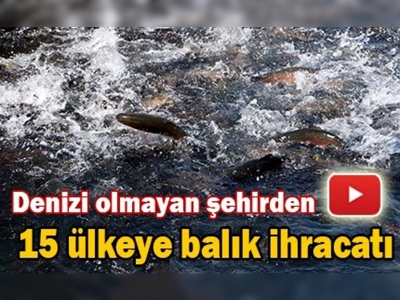 Maraş'tan 15 ülkeye balık ihracatı