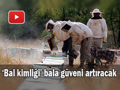 Türkiye'nin bal kimliği çıkıyor