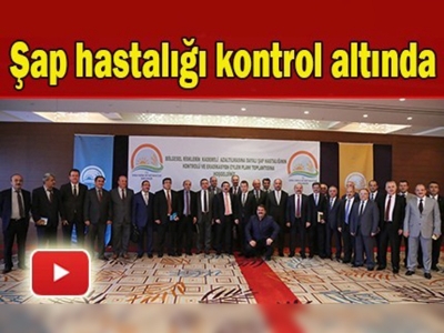 Şap hastalığı kontrol altında