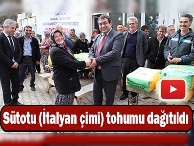 İtalyan çimi tohumu dağıtıldı