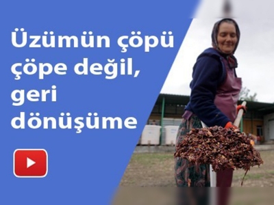 Üzümün kabuğu ve çekirdeği geri dönüşüme gönderilecek