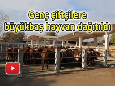 Bursalı genç çiftçiler desteklenmeden faydalandı