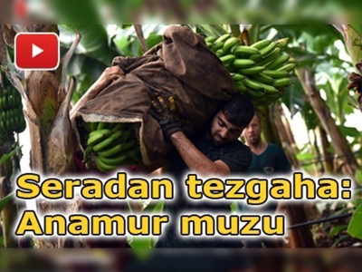 Anamur muzunun zahmetli yolculuğu